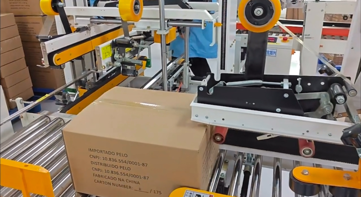 Export cartons being prepared on the factory's packing line